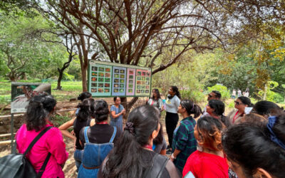 Environmental Day-Nature Trail